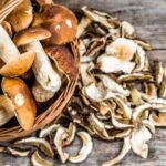 Everything You Need to Know Before Buying Dried Porcini Mushrooms