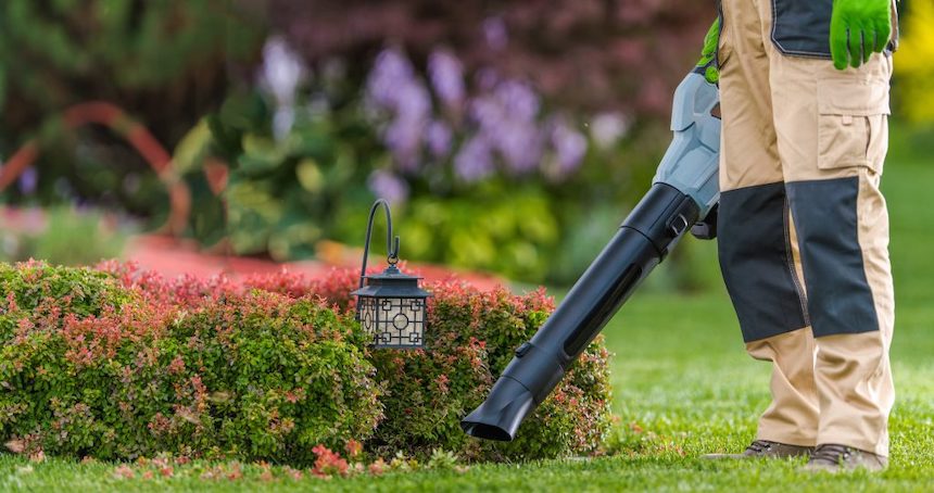 the-advantages-of-using-a-garden-blower