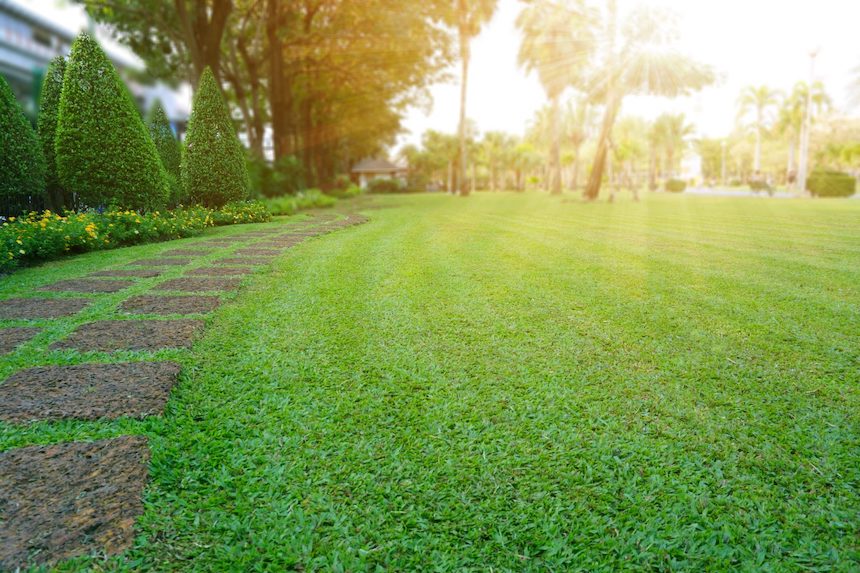 benefits-of-using-organic-lawn-fertilizer