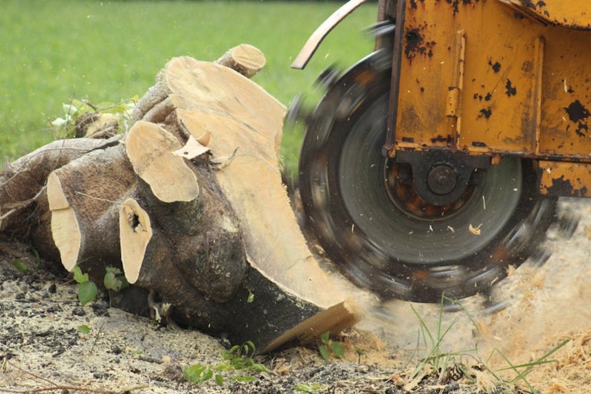 tree-stump-grinding-removing-stumps-property-property-from-your