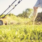 the-ultimate-guide-lawn-mowing