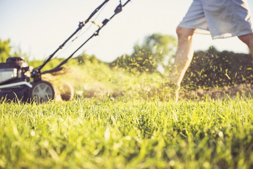 the-ultimate-guide-lawn-mowing