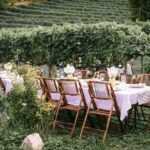 Get Married in Style – Unique Wedding Venue Ideas You Have To See