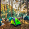 eco-friendly-camping-ideas-for-your-next-trip